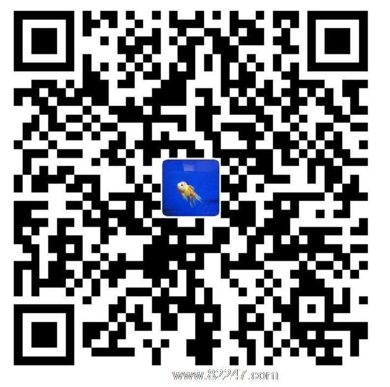 支付宝扫一扫