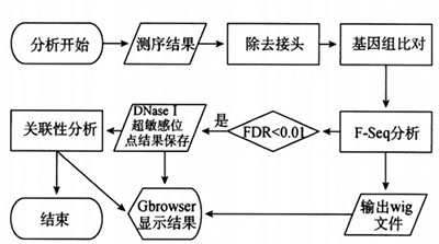 DNase I超敏感位点的定位研究原理和方法