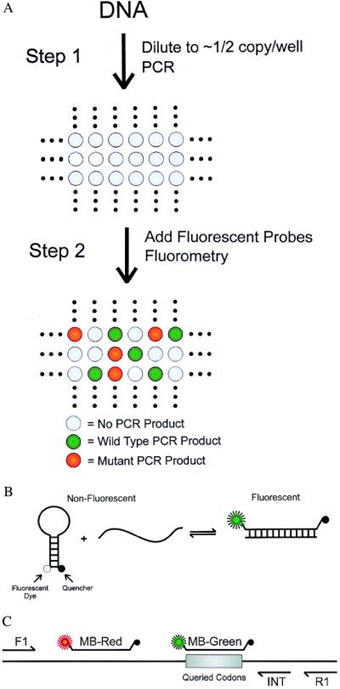 数字PCR digital PCR