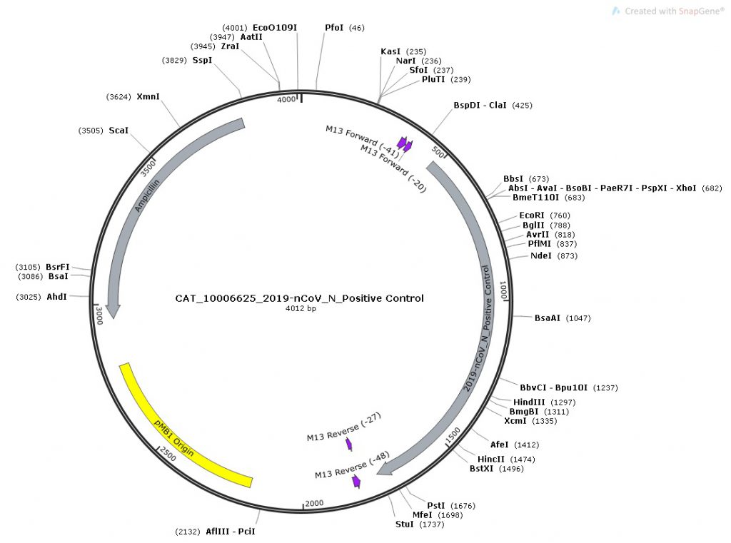 COVID19实时定量PCR检测序列和引物