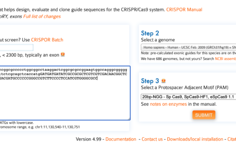 CRISPR 设计和Off Target预测：tefor