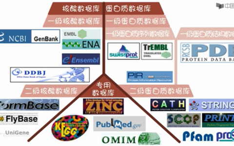 分子生物学数据库和数据格式