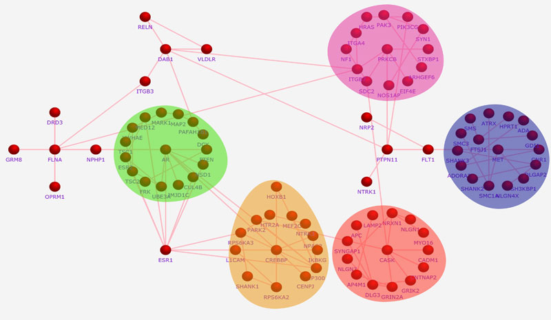 interaction_modules