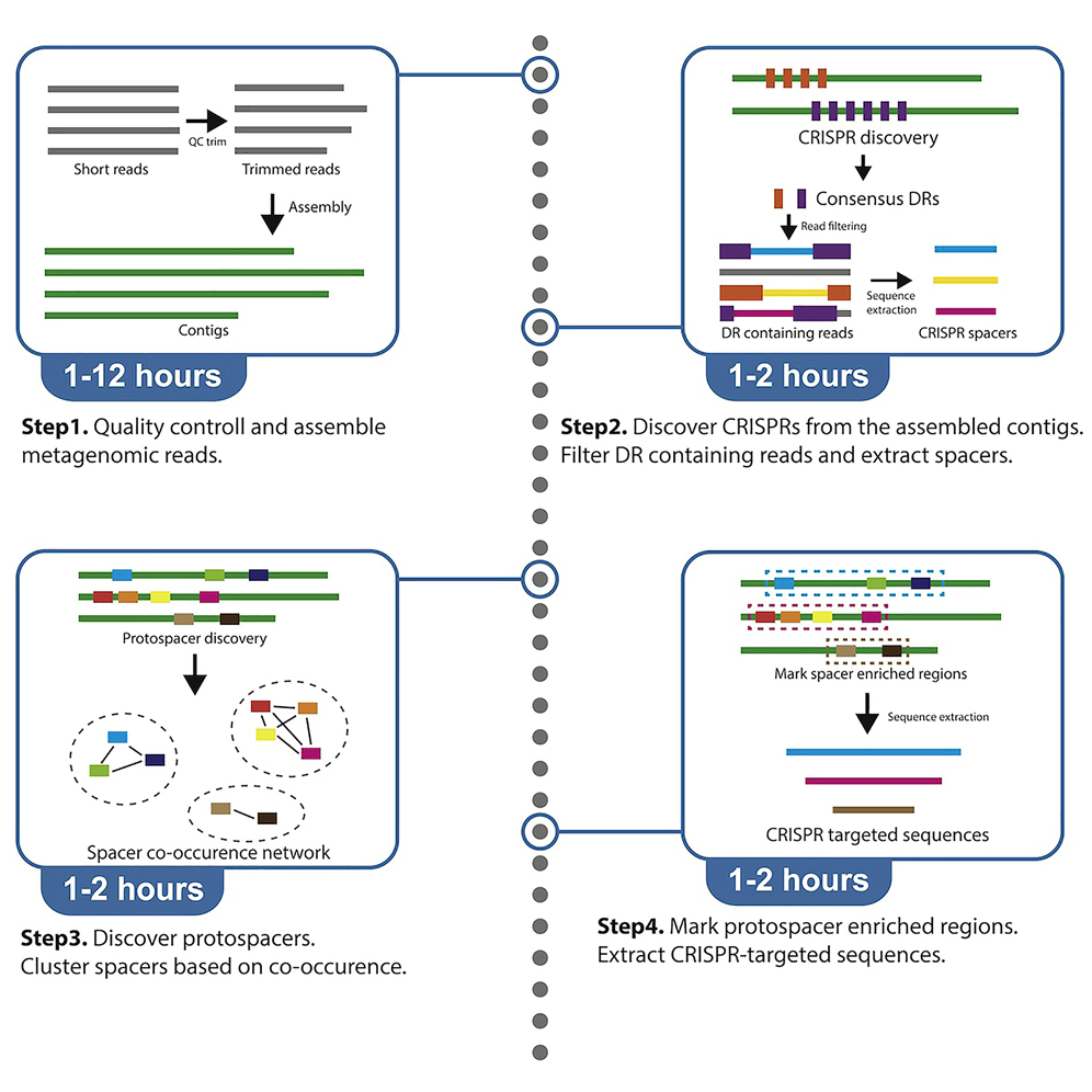 Star Protocol: 从宏基因组中提取 CRISPR 靶向序列