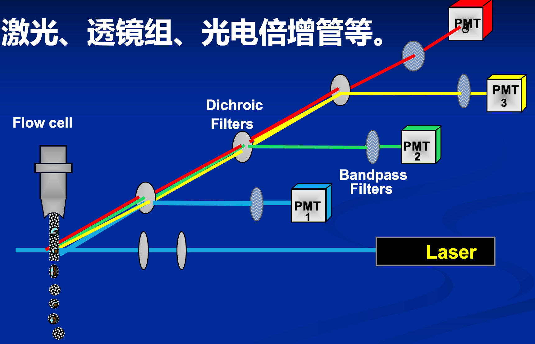 流式细胞仪（FACS）原理及其应用注意事项