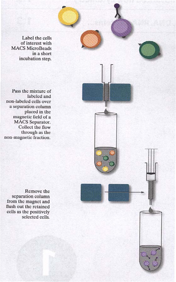 流式细胞仪（FACS）原理及其应用注意事项