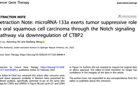 重复用图：microRNA-133a exerts tumor suppressive role in oral squamous cell carcinoma through the Notch signaling pathway via downregulation of CTBP2