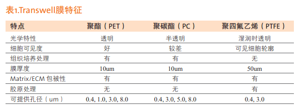 Transwell孔径0.4um3um8um选择原则