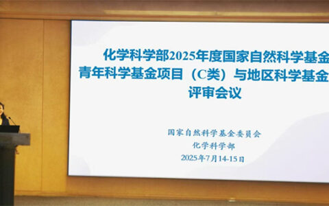 国自然形式资格自查表：限项、资格、预算