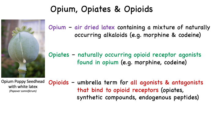 opioid_definitions